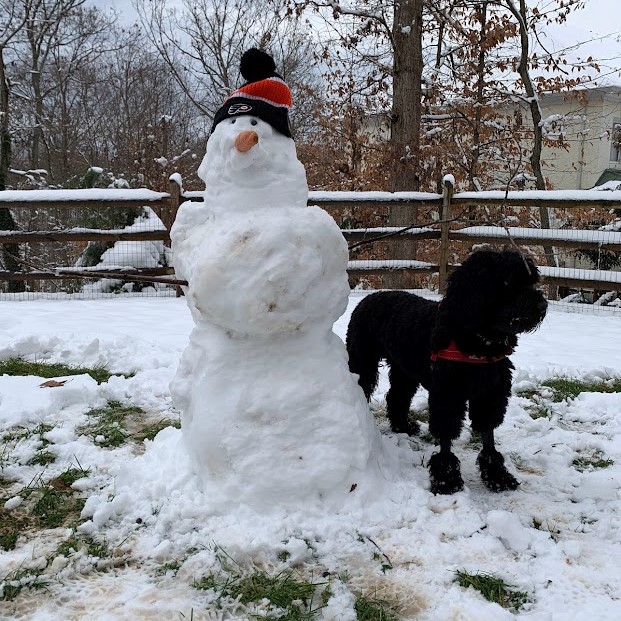 Pepper with a snowman